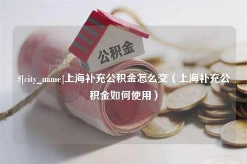 龙海上海补充公积金怎么交（上海补充公积金如何使用）